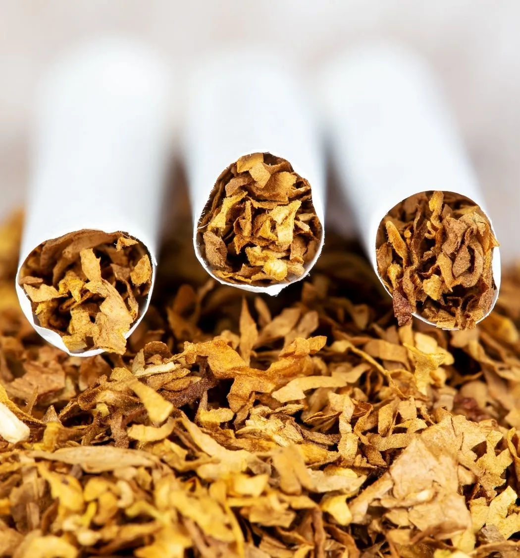 WhatsApp Image 2025-10-17 at 14.46.48_51beb4d5