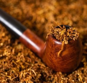 WhatsApp Image 2025-10-17 at 14.46.52_cf8e299b