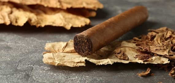 WhatsApp Image 2025-10-17 at 14.49.21_10ff1b57