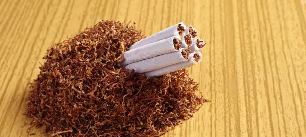 WhatsApp Image 2025-10-18 at 11.33.24_8964e3ac