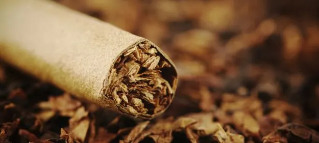 WhatsApp Image 2025-10-18 at 11.33.28_18a17dd1