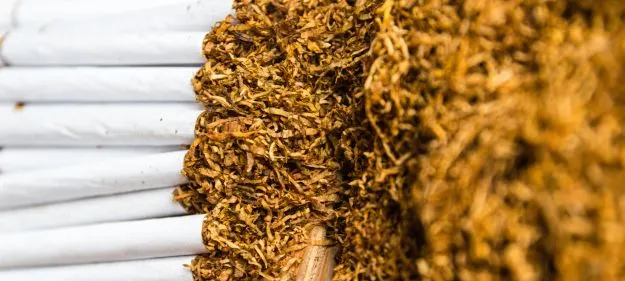 WhatsApp Image 2025-10-18 at 11.38.19_fcb0fa02